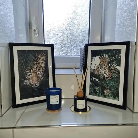 Zentral Gelegene 2-zkb-wohnung Vorstadt *